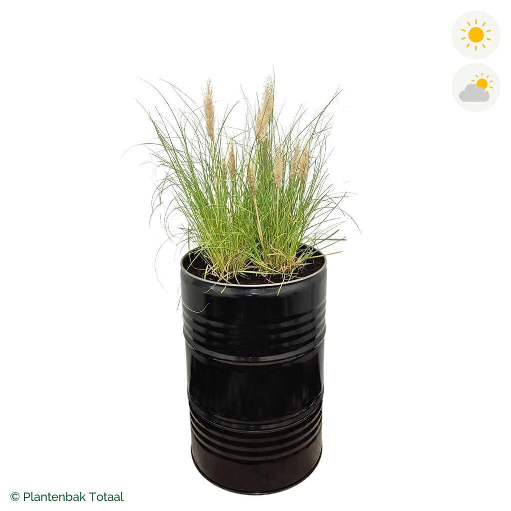 productfoto van plantenbak Metalen Olievat Pampasgras