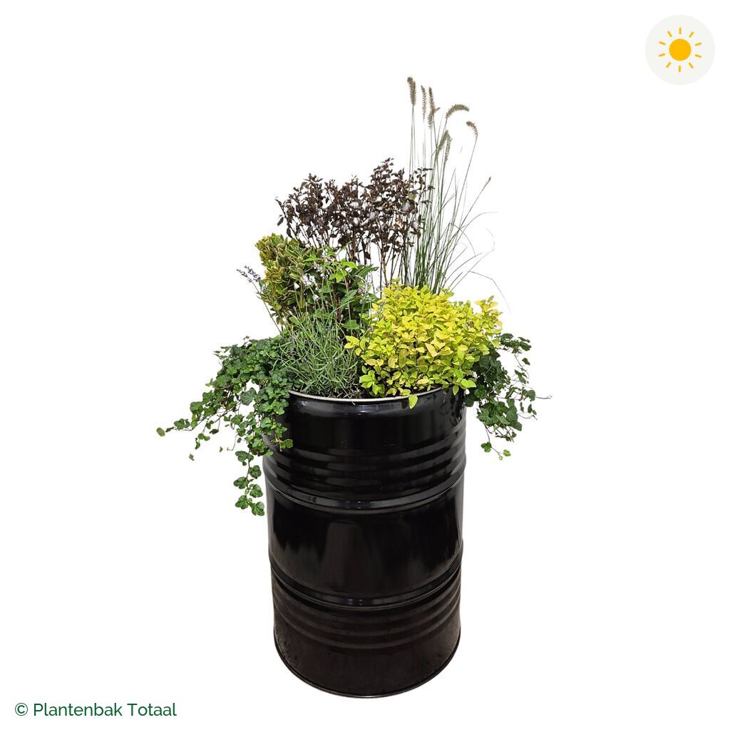 productfoto van plantenbak Metalen Olievat Set Provence