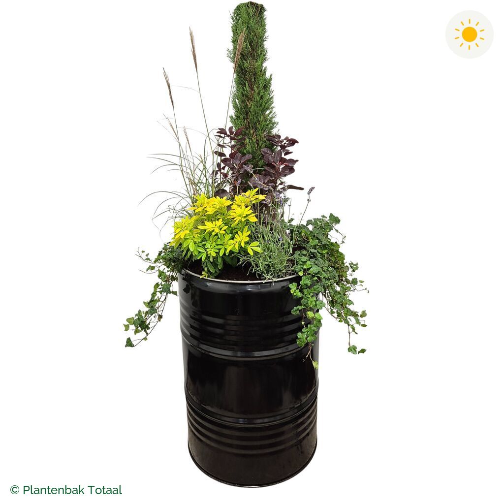 productfoto van plantenbak Metalen Olievat Set Toscane