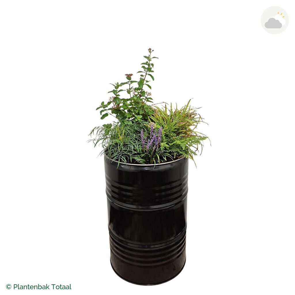 productfoto van plantenbak Metalen Olievat Set York