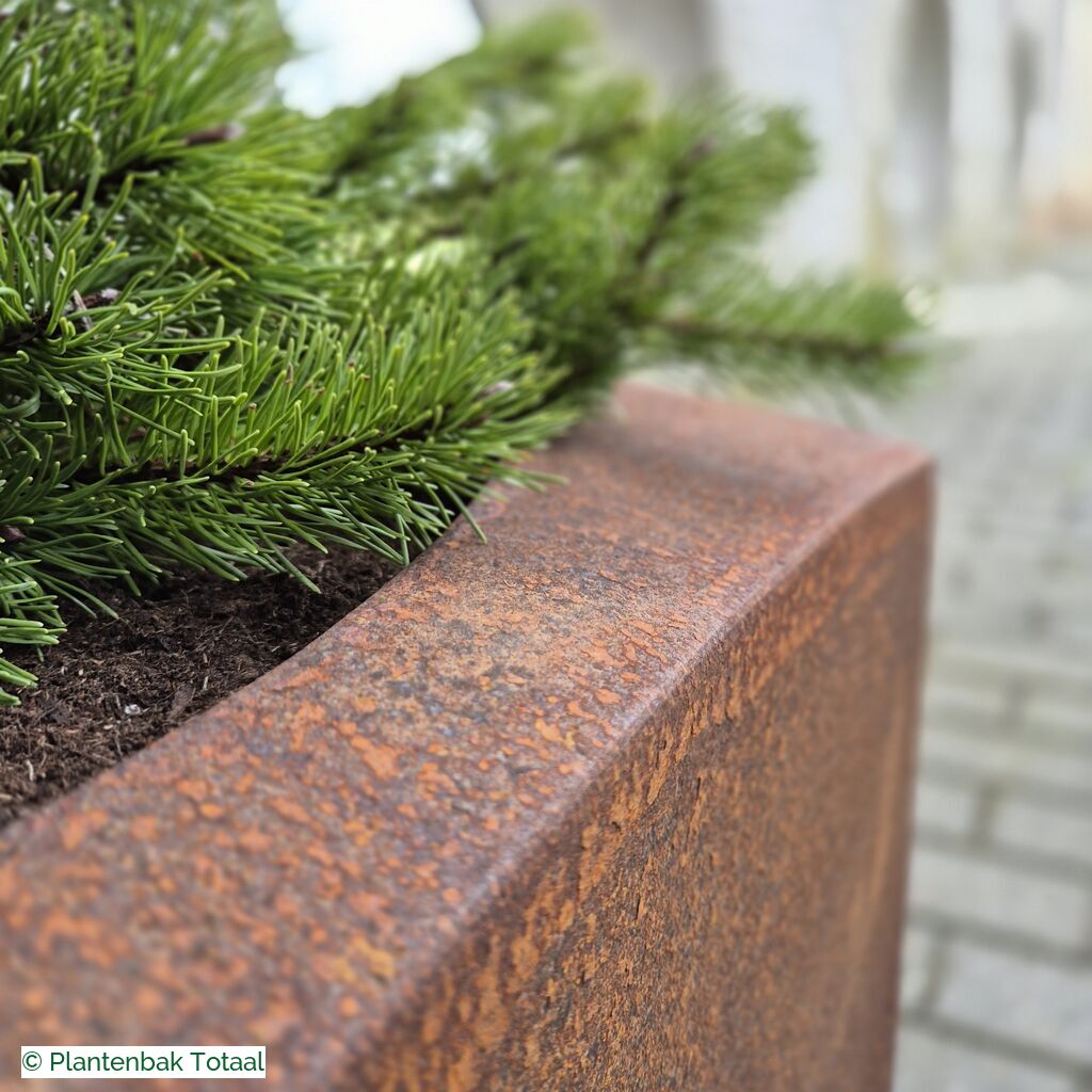 productlijn foto van plantenbak CS Nooa vierkant
