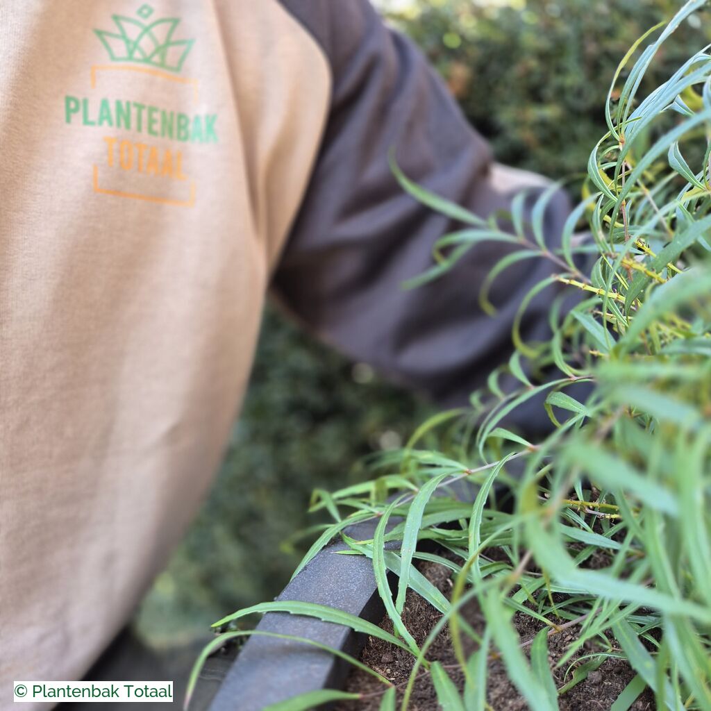 productlijn foto van plantenbak FF Orb rond