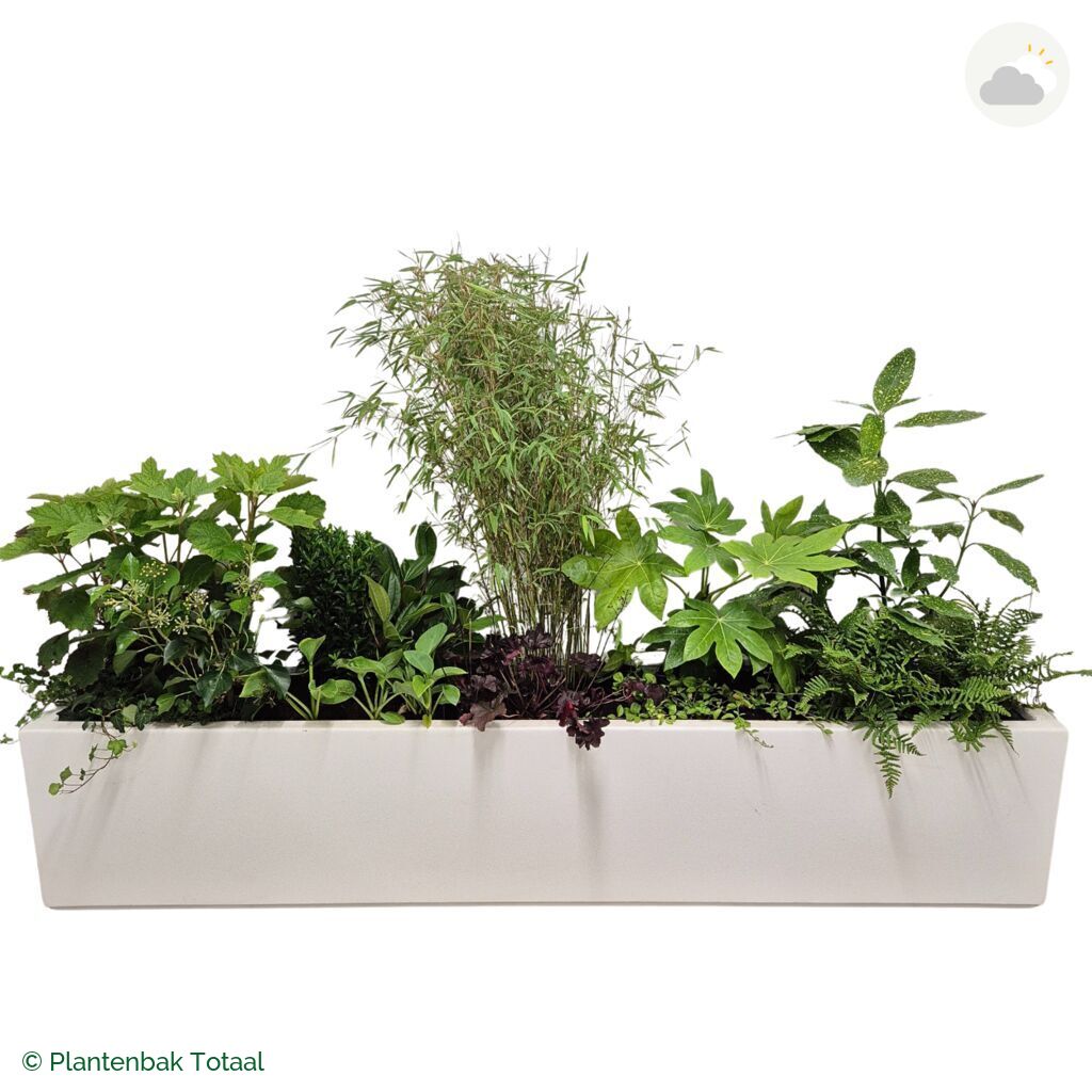 productfoto van plantenbak Polyester Carrez Langwerpig Set Amazone