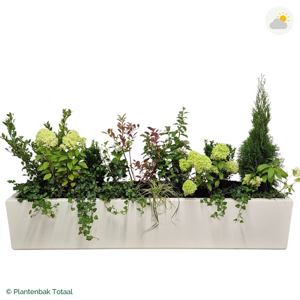 productfoto van plantenbak Polyester Carrez Langwerpig Set Ardennen