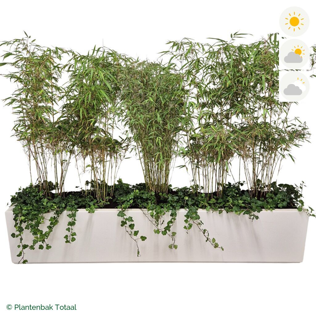 productfoto van plantenbak Polyester Carrez Langwerpig Bamboe Afscheiding