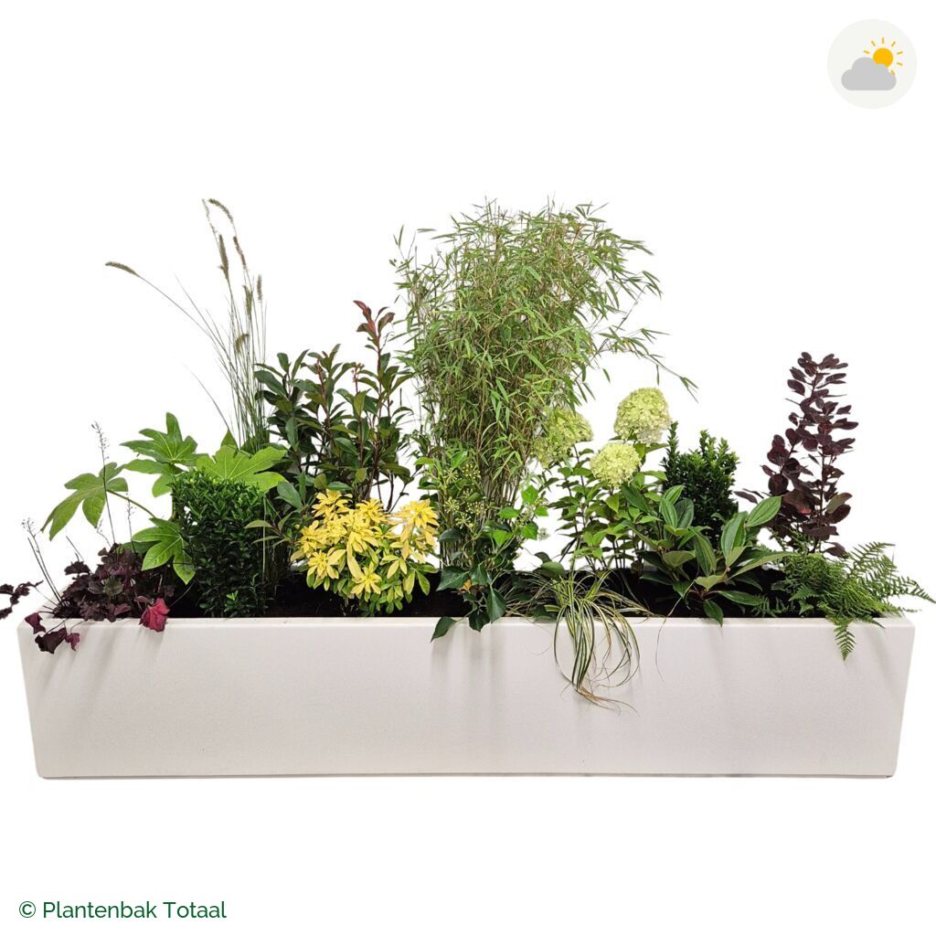 productfoto van plantenbak Polyester Carrez Langwerpig Set Bohemen