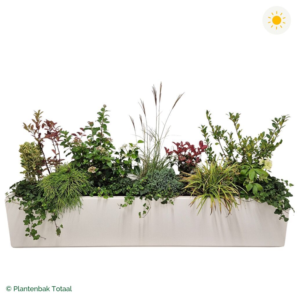 productfoto van plantenbak Polyester Carrez Langwerpig Set Bretagne