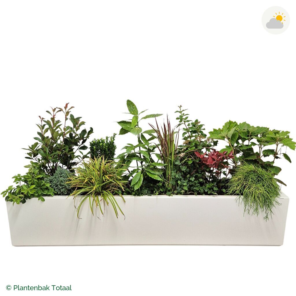 productfoto van plantenbak Polyester Carrez Langwerpig Set Eifel
