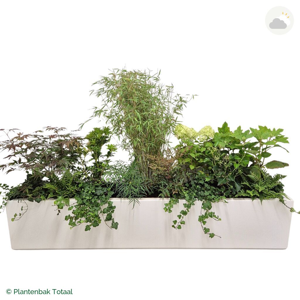 productfoto van plantenbak Polyester Carrez Langwerpig Set Himalaya