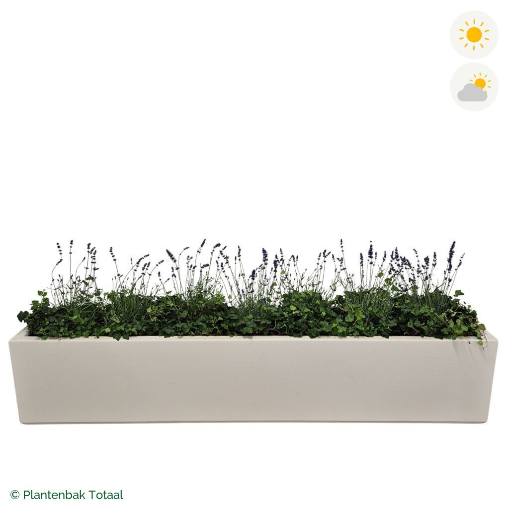 productfoto van plantenbak Polyester Carrez Langwerpig Lavendel Combinatie