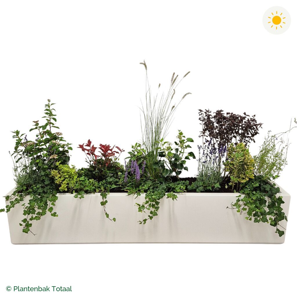 productfoto van plantenbak Polyester Carrez Langwerpig Set Provence