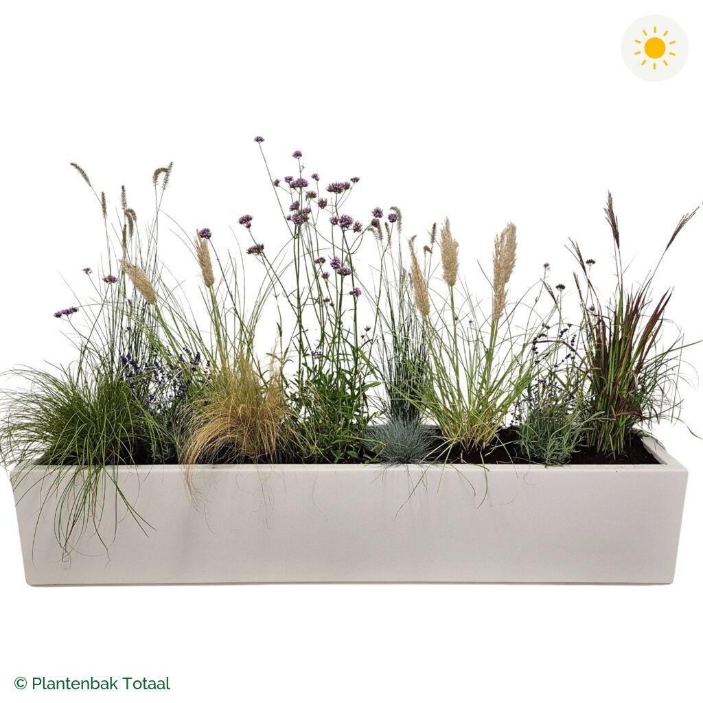 productfoto van plantenbak Polyester Carrez Langwerpig Set Savanne