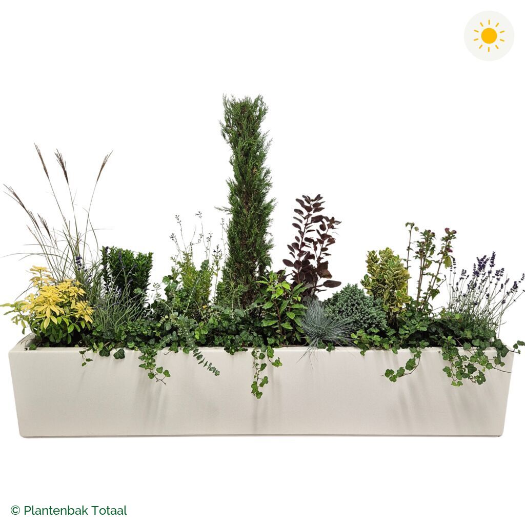 productfoto van plantenbak Polyester Carrez Langwerpig Set Toscane