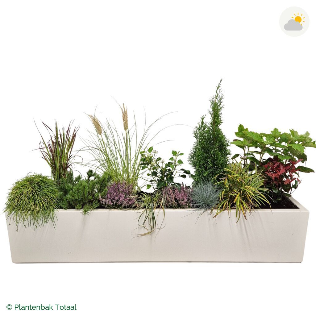 productfoto van plantenbak Polyester Carrez Langwerpig Set Veluwe