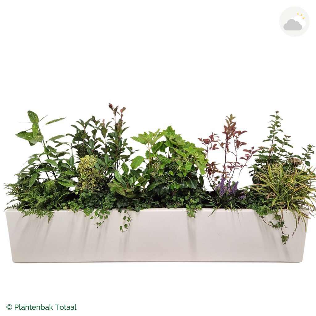 productfoto van plantenbak Polyester Carrez Langwerpig Set York