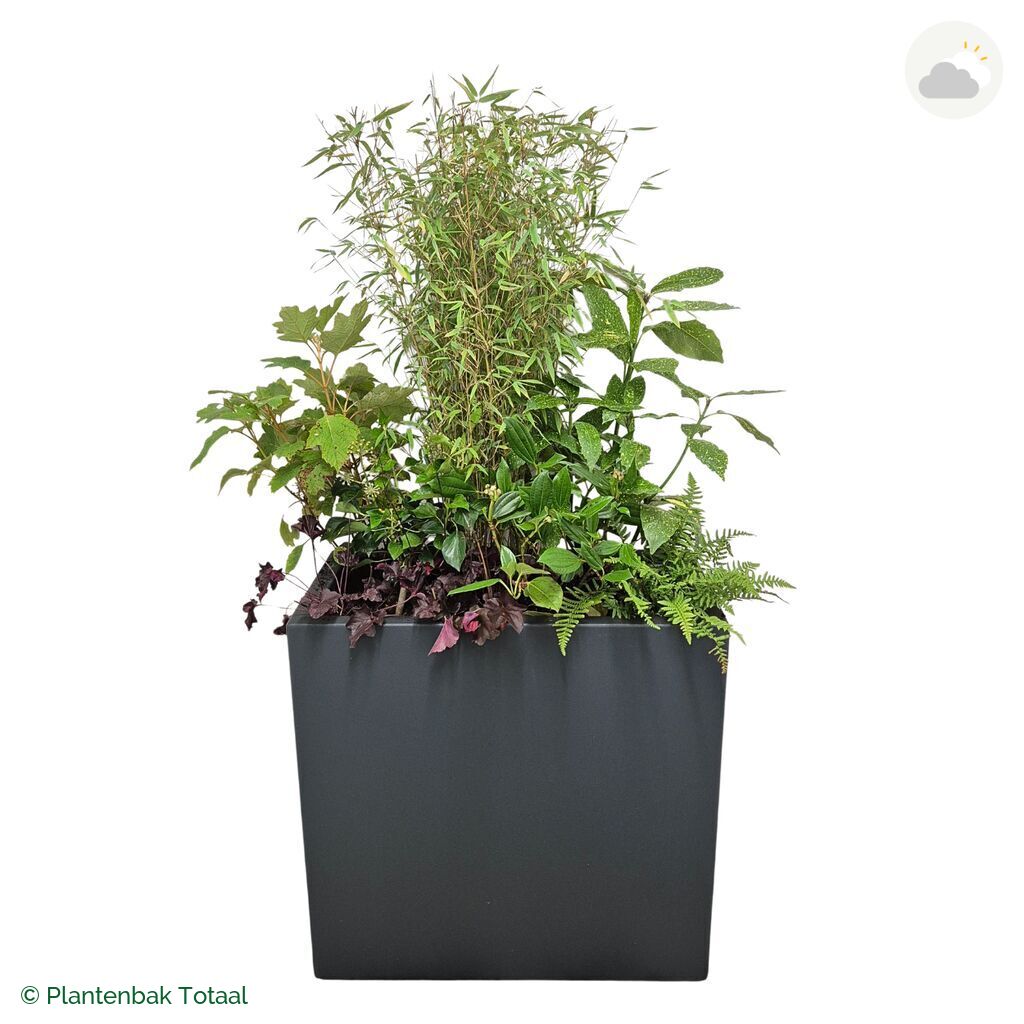productfoto van plantenbak Polyester Carrez Rechthoek Set Amazone
