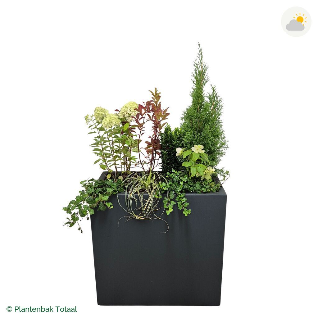 productfoto van plantenbak Polyester Carrez Rechthoek Set Ardennen