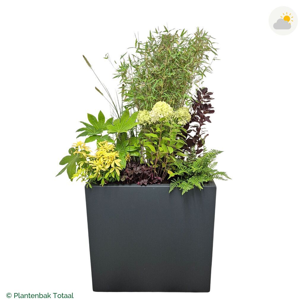 productfoto van plantenbak Polyester Carrez Rechthoek Set Bohemen