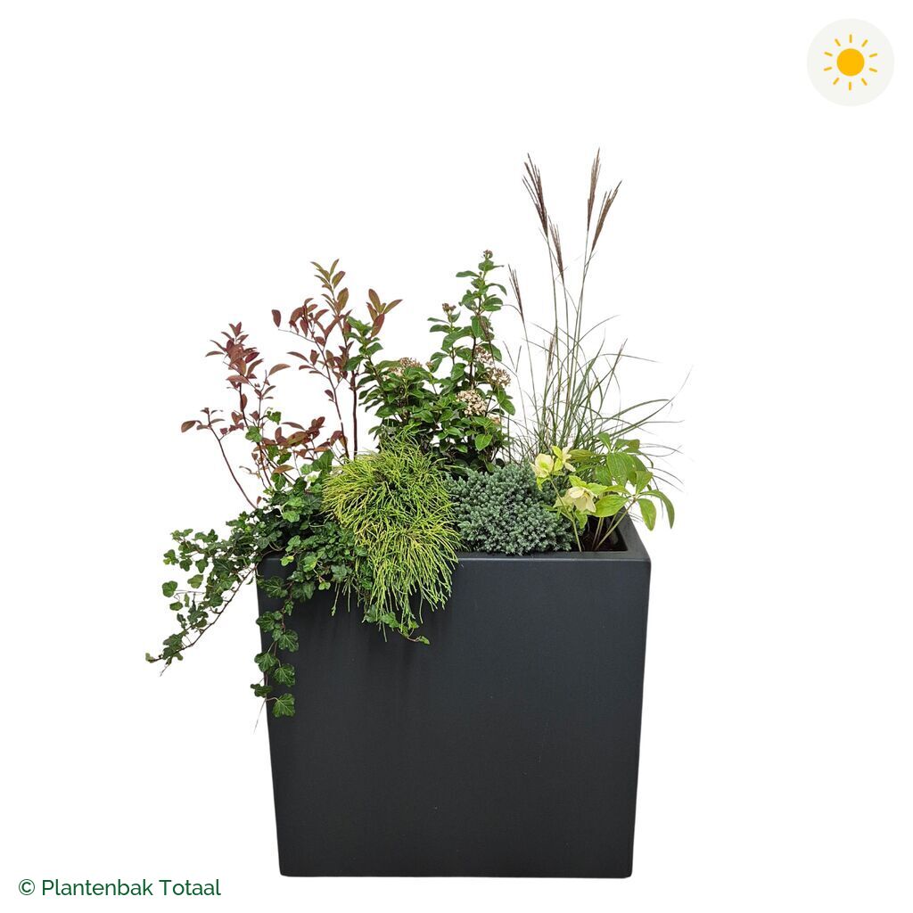 productfoto van plantenbak Polyester Carrez Rechthoek Set Bretagne