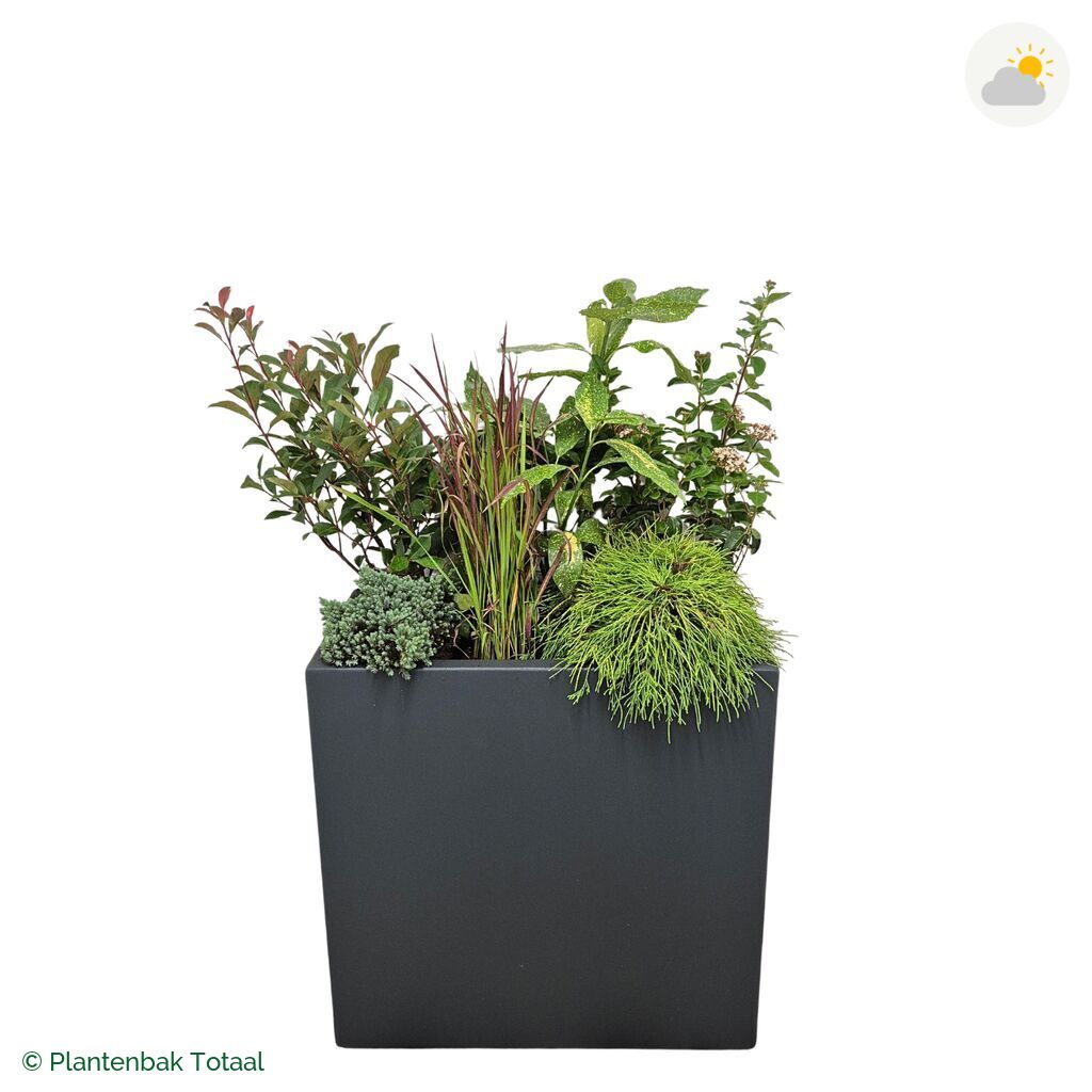 productfoto van plantenbak Polyester Carrez Rechthoek Set Eifel