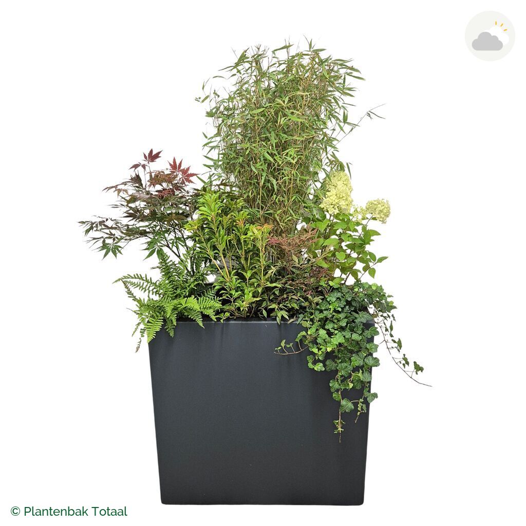 productfoto van plantenbak Polyester Carrez Rechthoek Set Himalaya