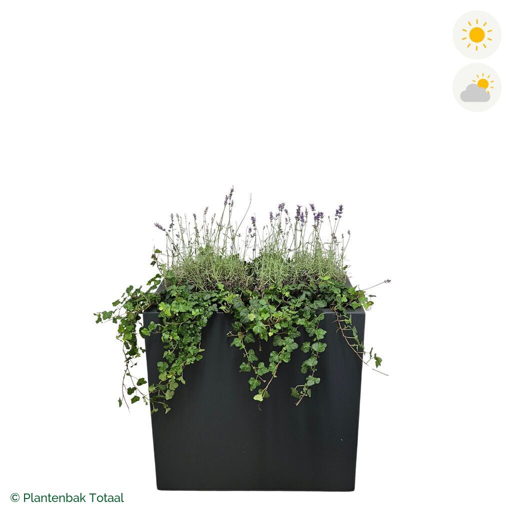 productfoto van plantenbak Polyester Carrez Rechthoek Lavendel Combinatie