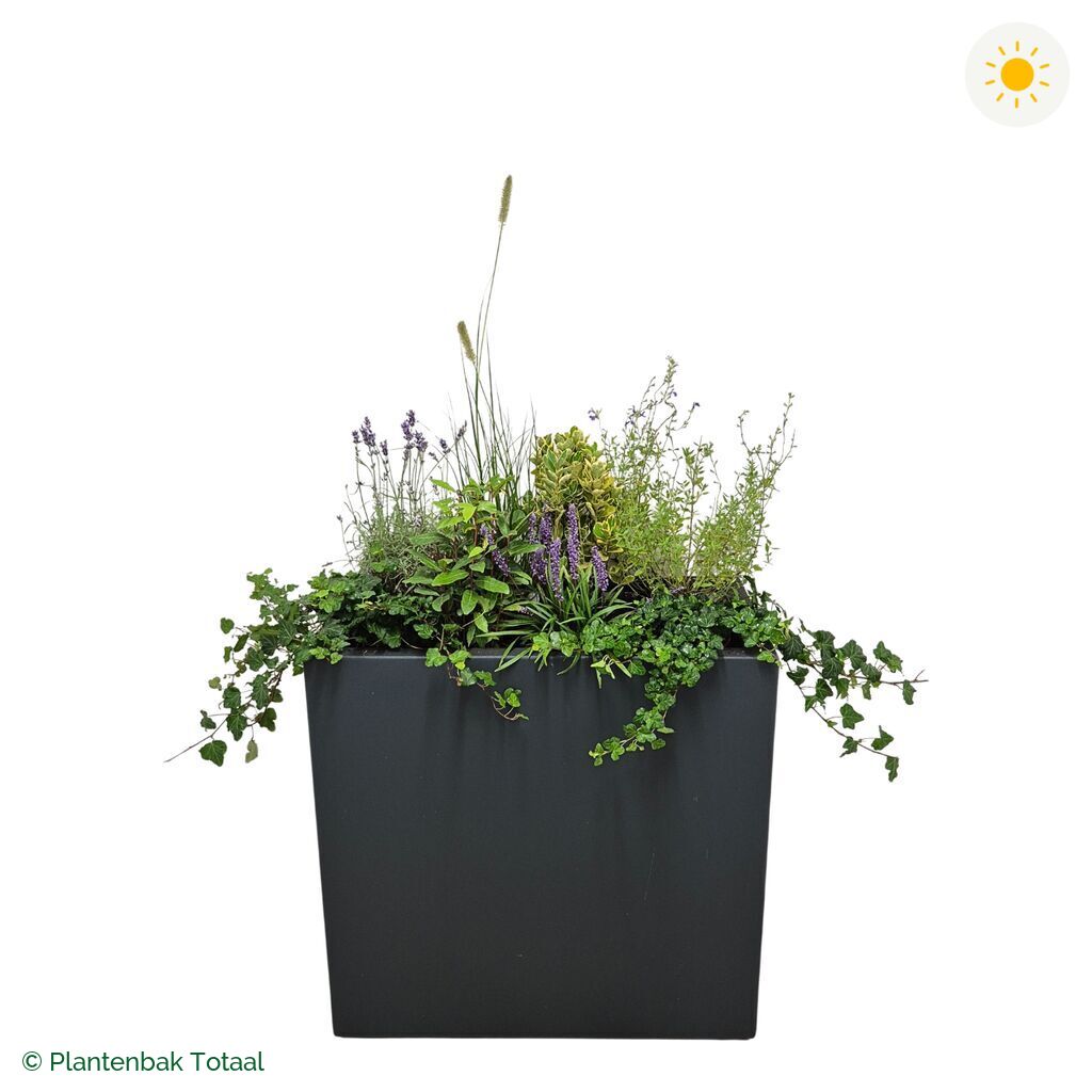 productfoto van plantenbak Polyester Carrez Rechthoek Set Provence