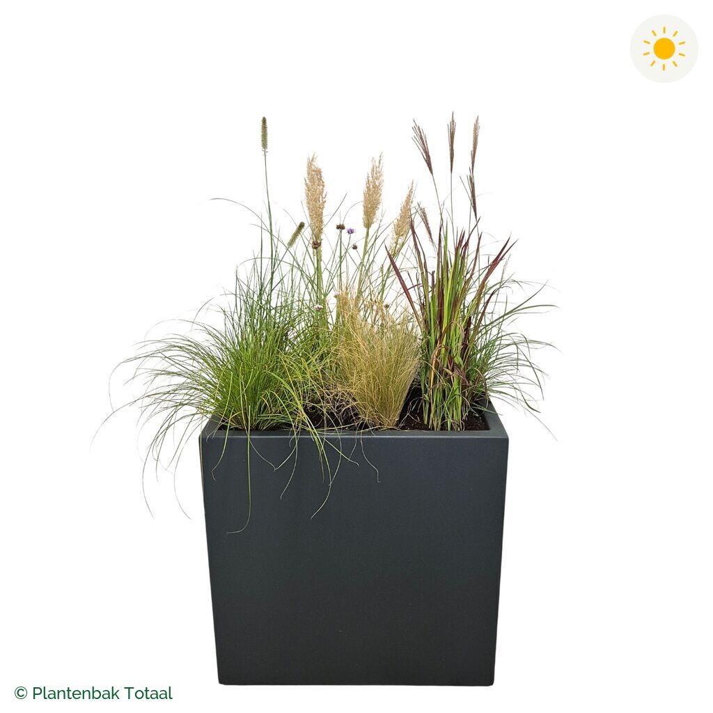 productfoto van plantenbak Polyester Carrez Rechthoek Set Savanne