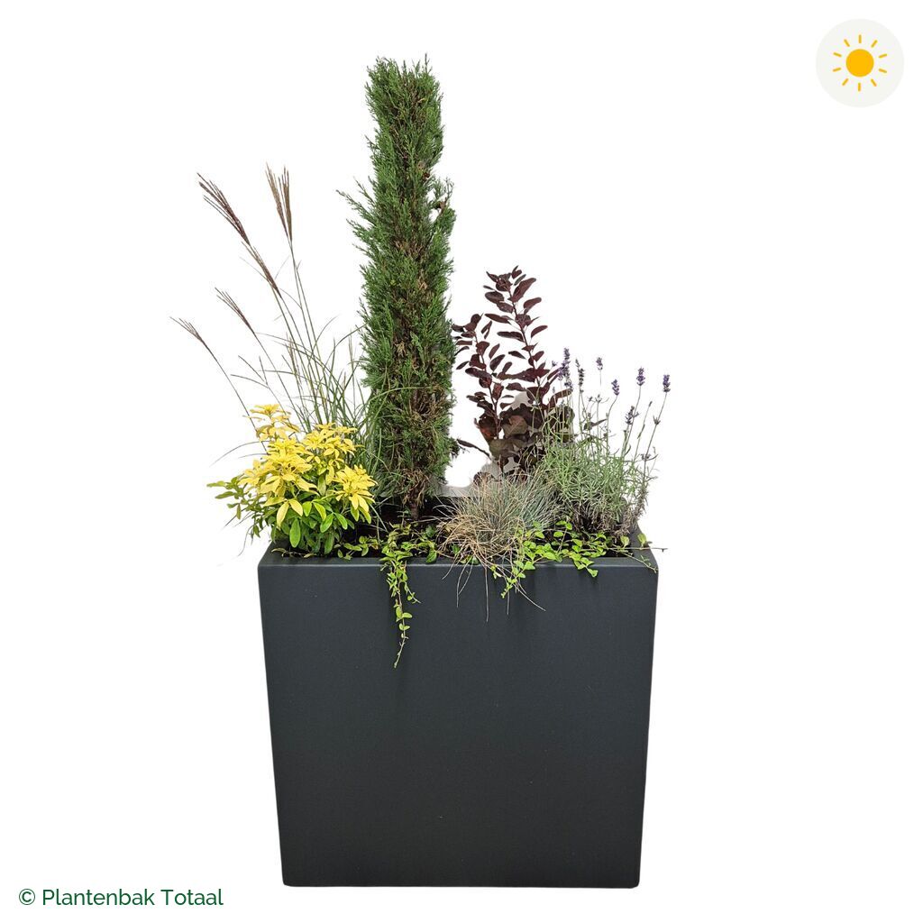 productfoto van plantenbak Polyester Carrez Rechthoek Set Toscane