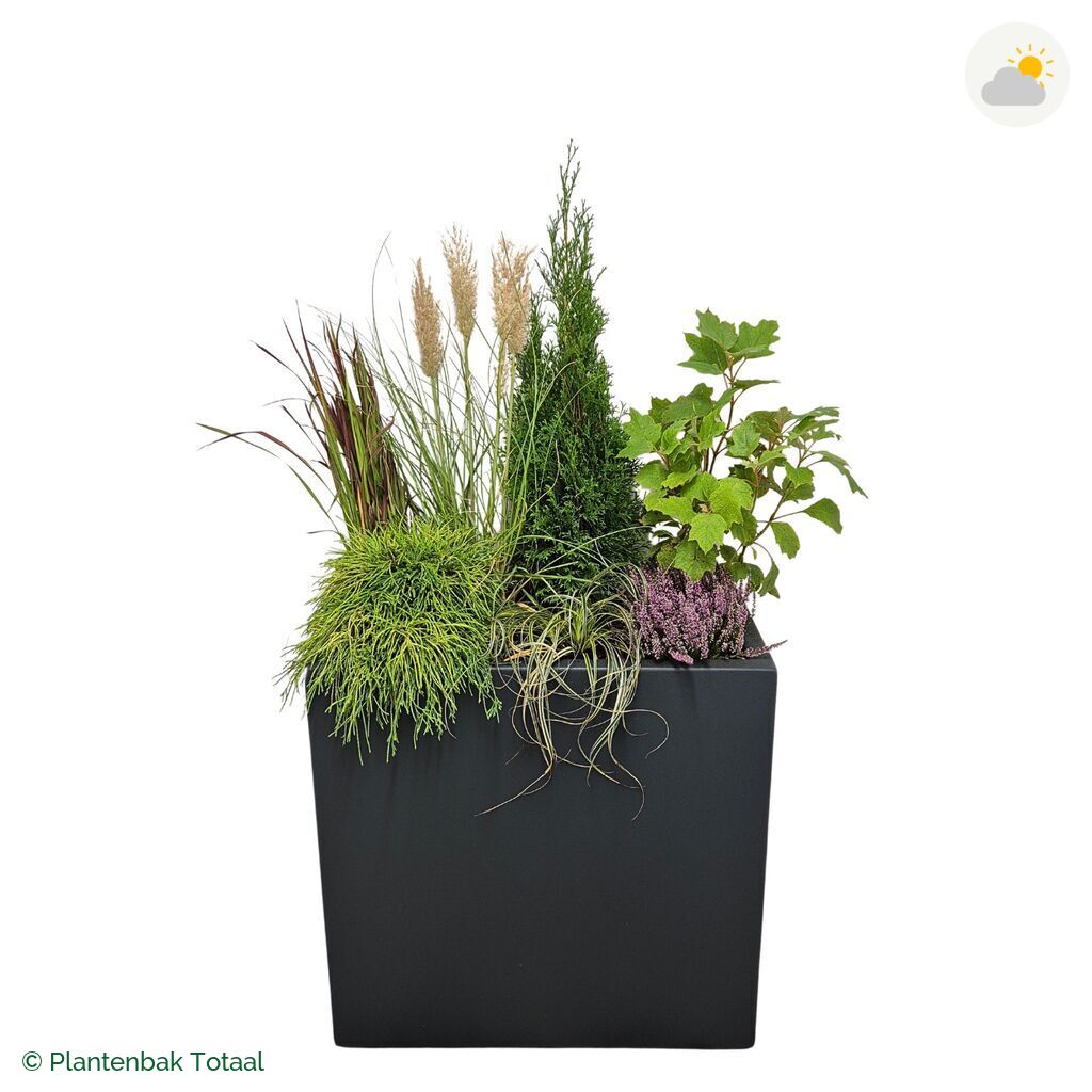 productfoto van plantenbak Polyester Carrez Rechthoek Set Veluwe
