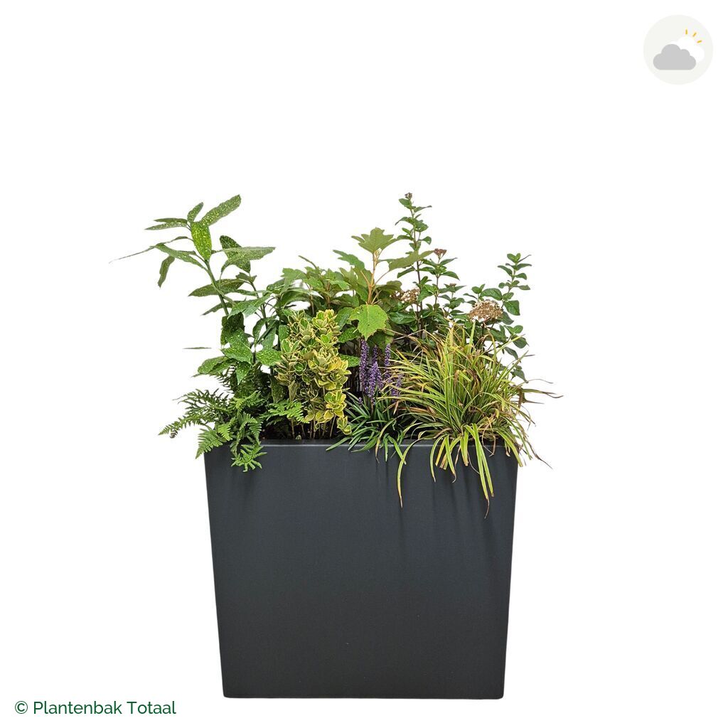 productfoto van plantenbak Polyester Carrez Rechthoek Set York
