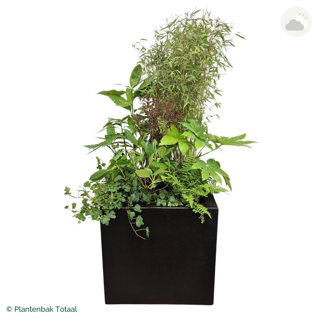 productfoto van plantenbak Polyester Carrez Vierkant Set Amazone