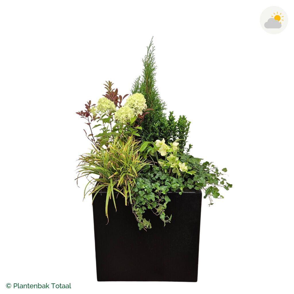 productfoto van plantenbak Polyester Carrez Vierkant Set Ardennen