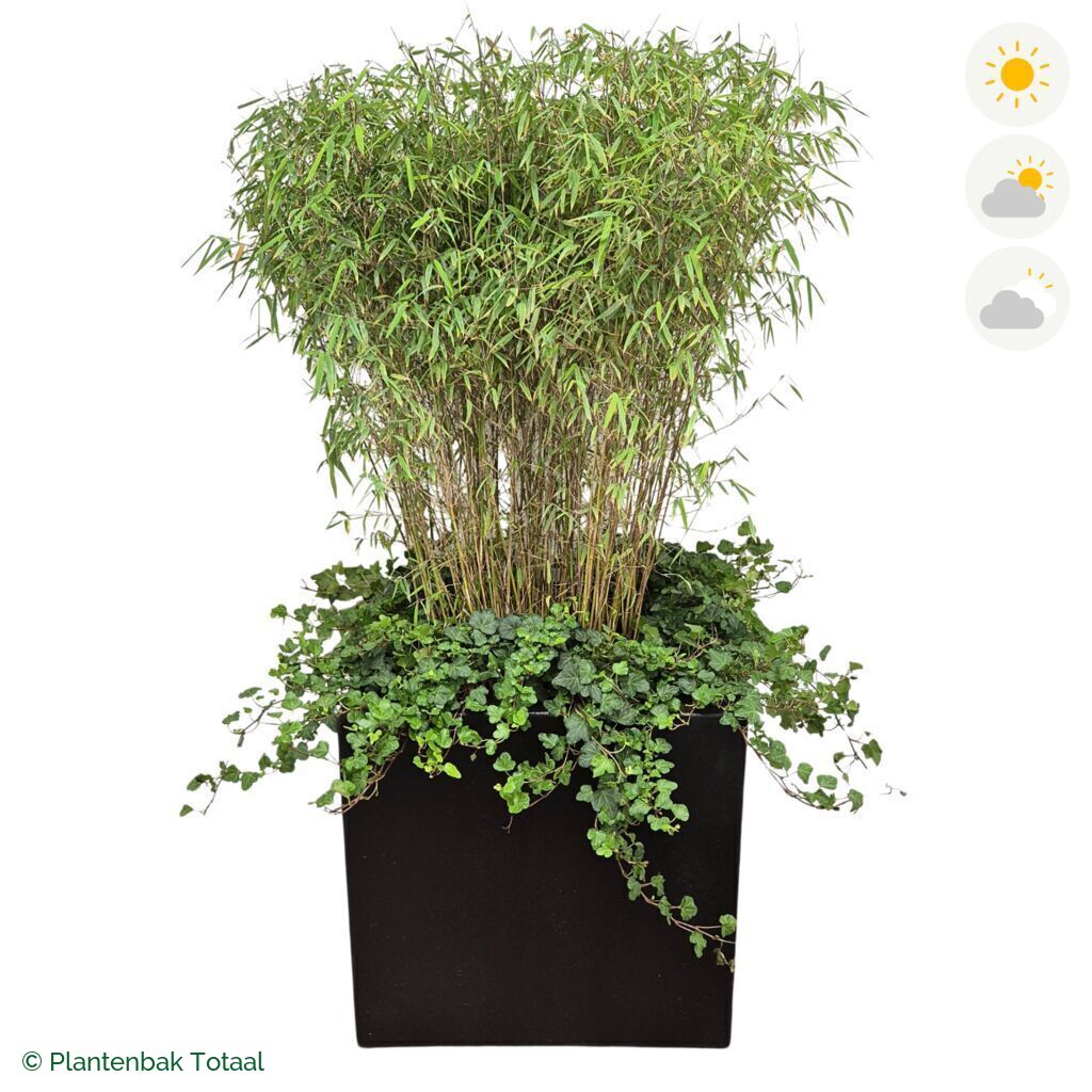 productfoto van plantenbak Polyester Carrez Vierkant Bamboe Combinatie