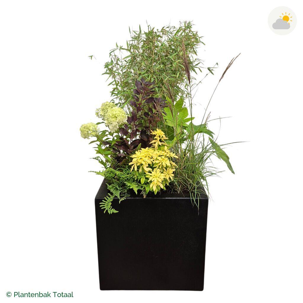 productfoto van plantenbak Polyester Carrez Vierkant Set Bohemen