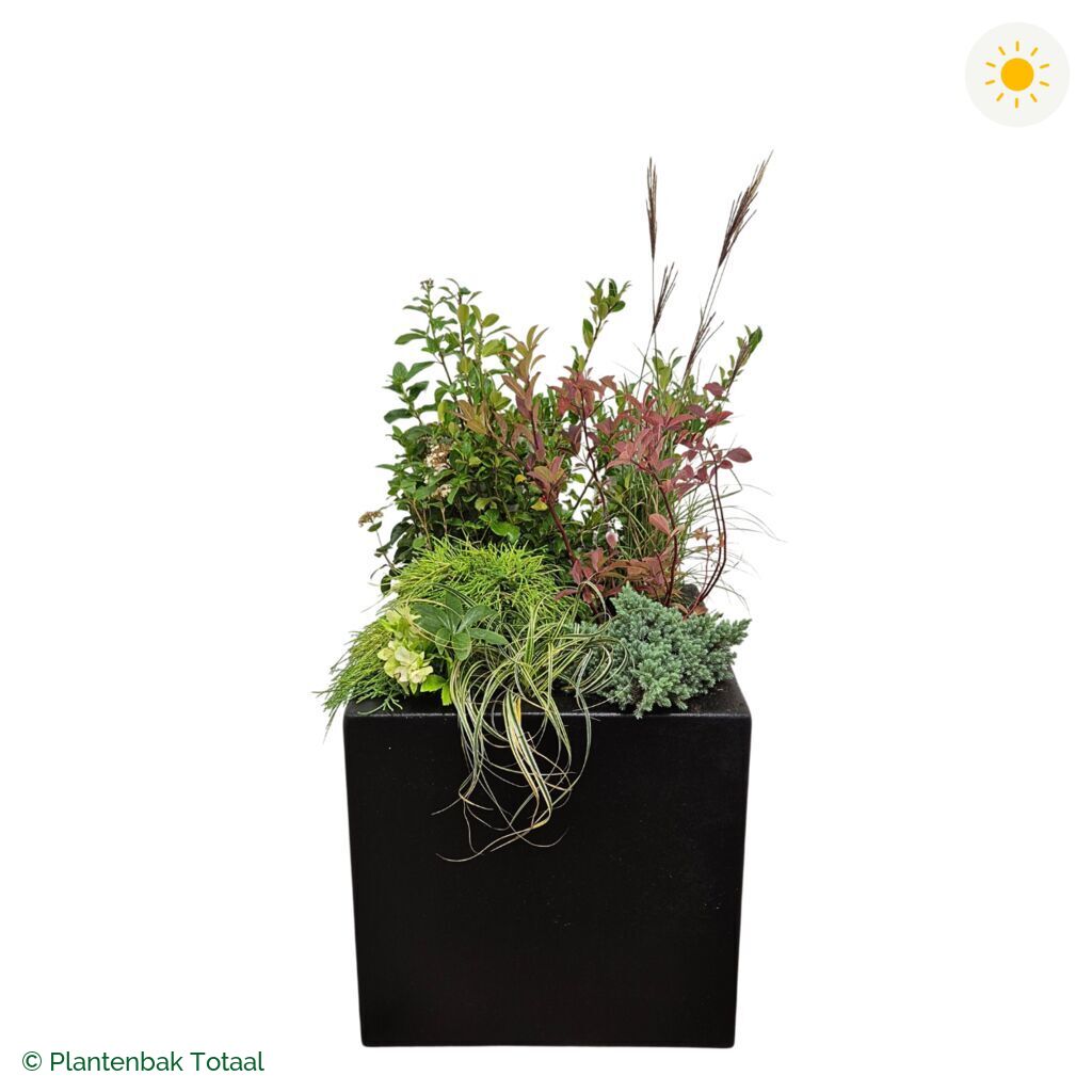 productfoto van plantenbak Polyester Carrez Vierkant Set Bretagne