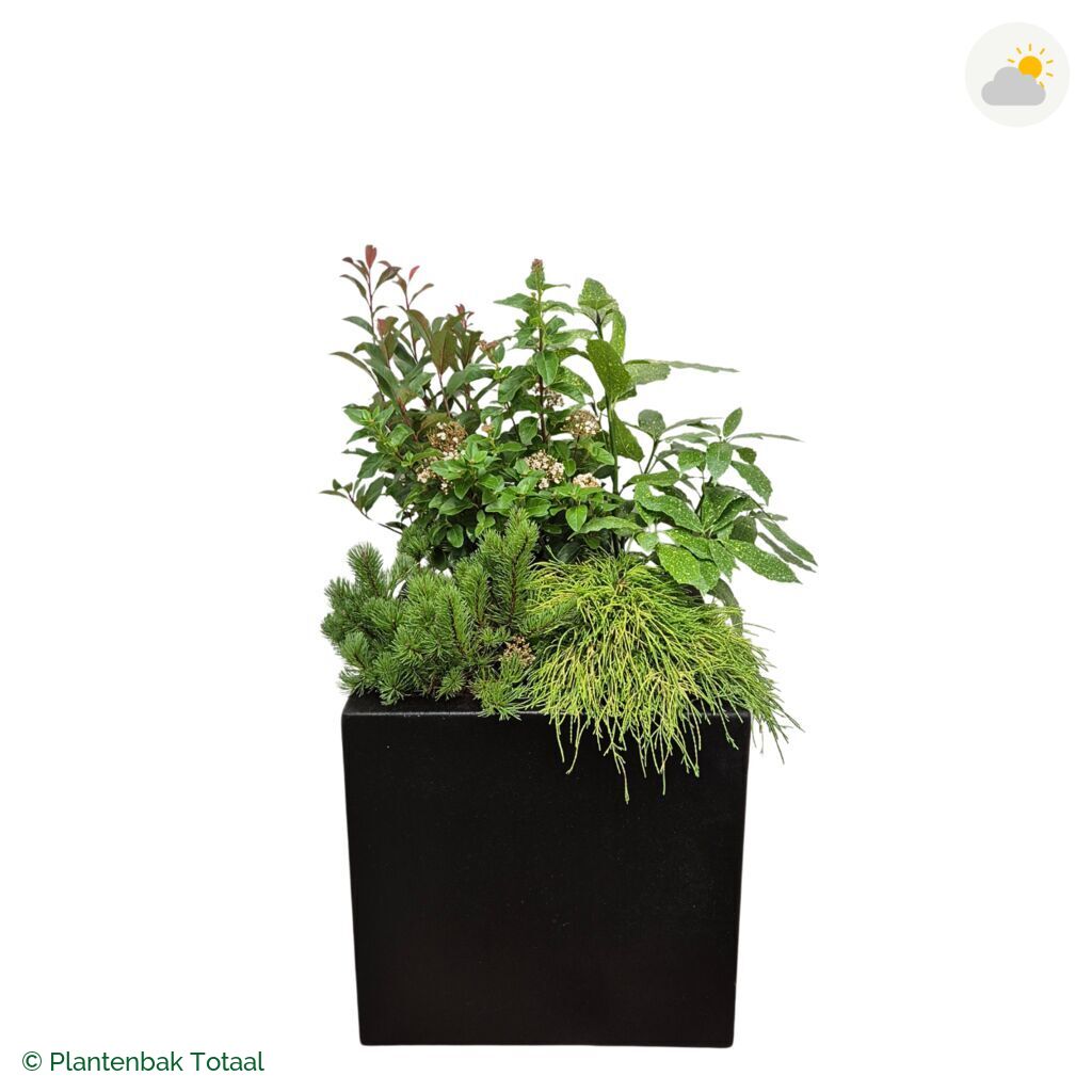 productfoto van plantenbak Polyester Carrez Vierkant Set Eifel
