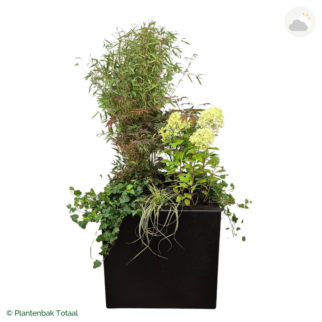 productfoto van plantenbak Polyester Carrez Vierkant Set Himalaya