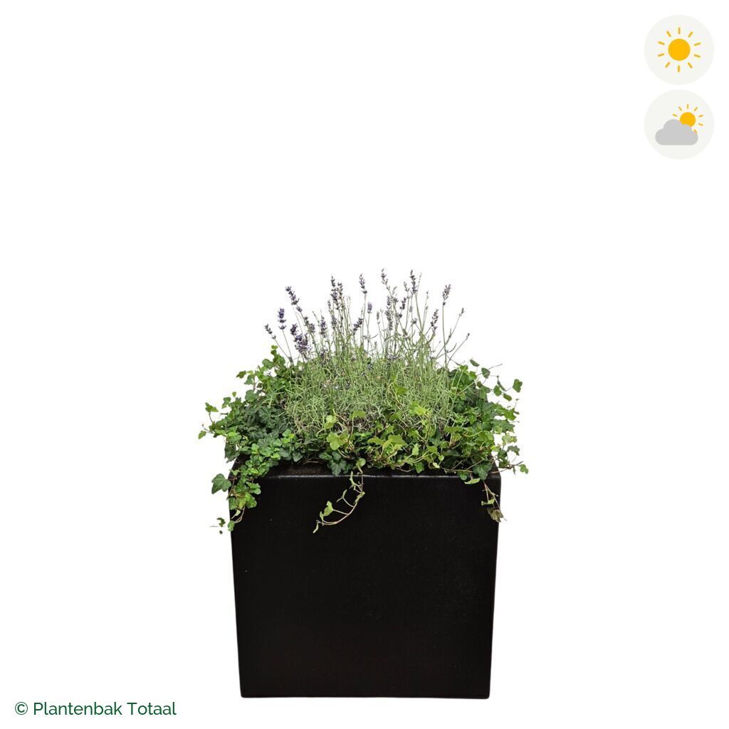productfoto van plantenbak Polyester Carrez Vierkant Lavendel Combinatie