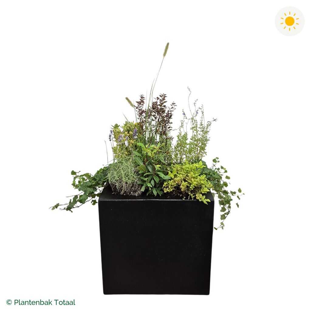 productfoto van plantenbak Polyester Carrez Vierkant Set Provence
