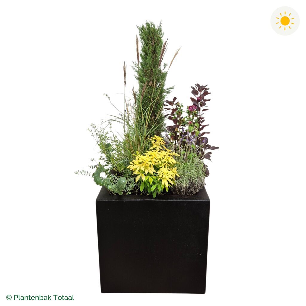 productfoto van plantenbak Polyester Carrez Vierkant Set Toscane