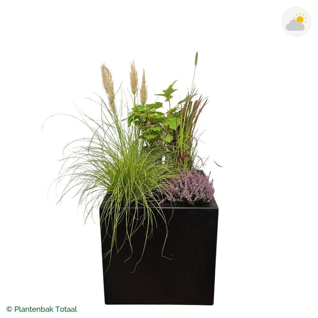 productfoto van plantenbak Polyester Carrez Vierkant Set Veluwe