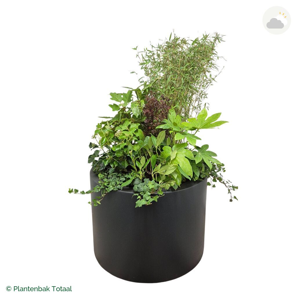 productfoto van plantenbak Polyester Circum Set Amazone