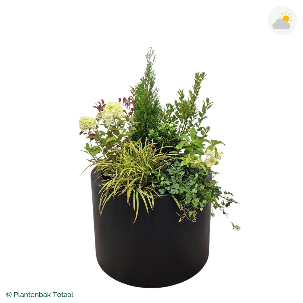 productfoto van plantenbak Polyester Circum Set Ardennen