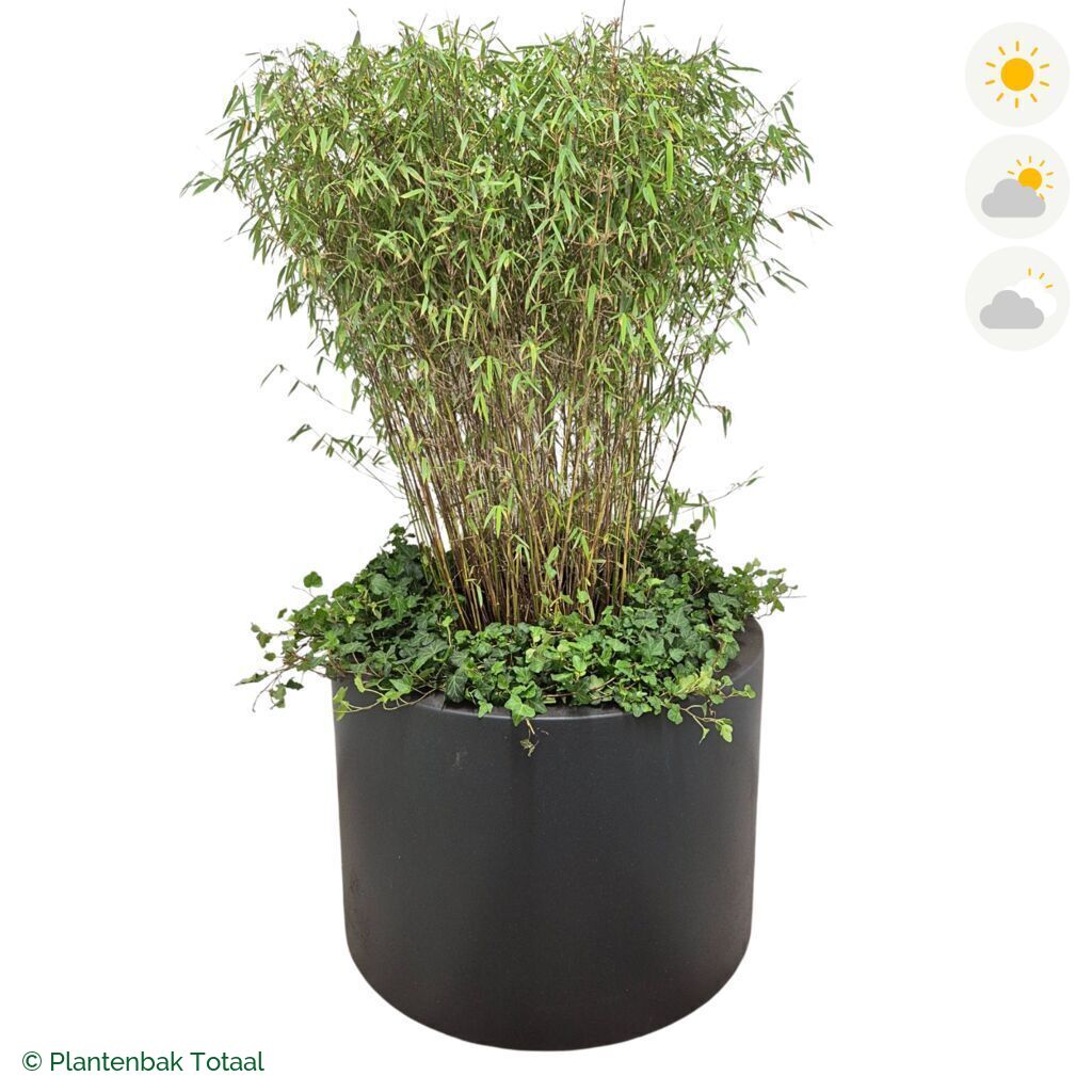 productfoto van plantenbak Polyester Circum Bamboe Combinatie