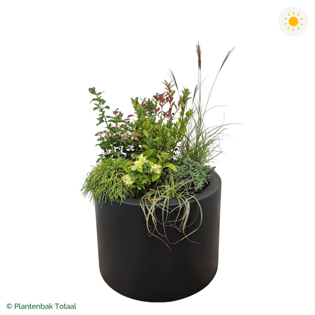 productfoto van plantenbak Polyester Circum Set Bretagne