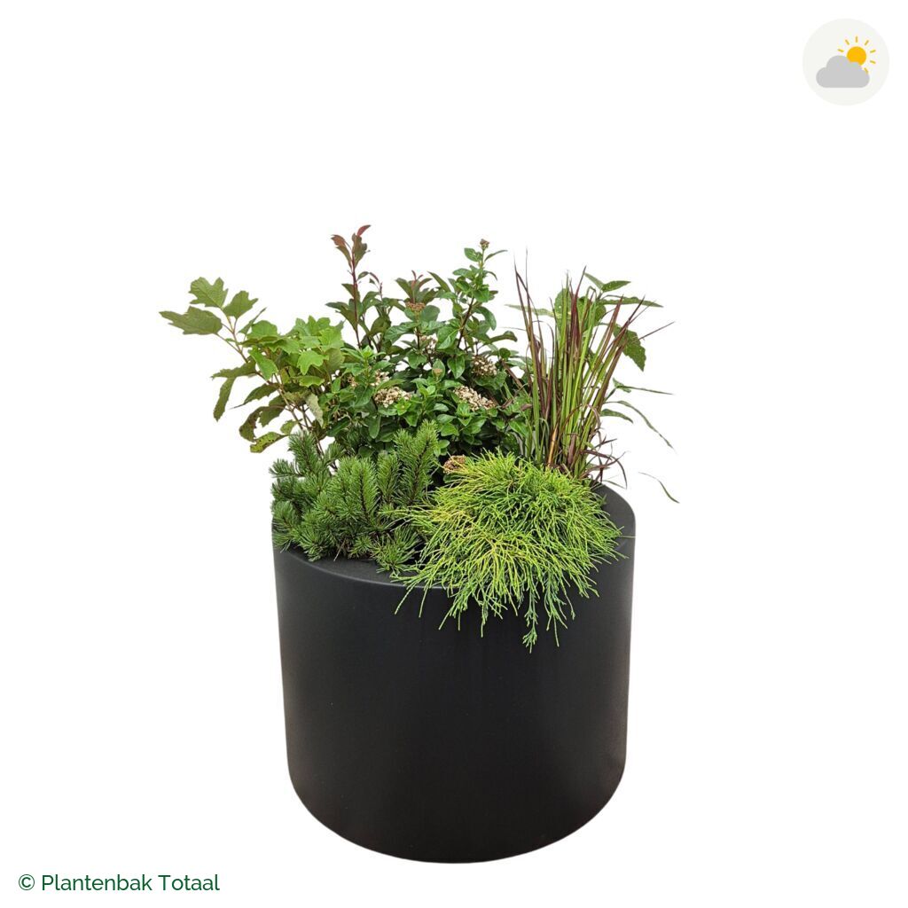 productfoto van plantenbak Polyester Circum Set Eifel