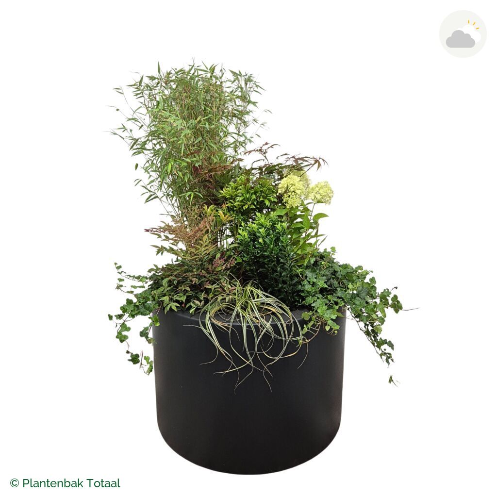 productfoto van plantenbak Polyester Circum Set Himalaya