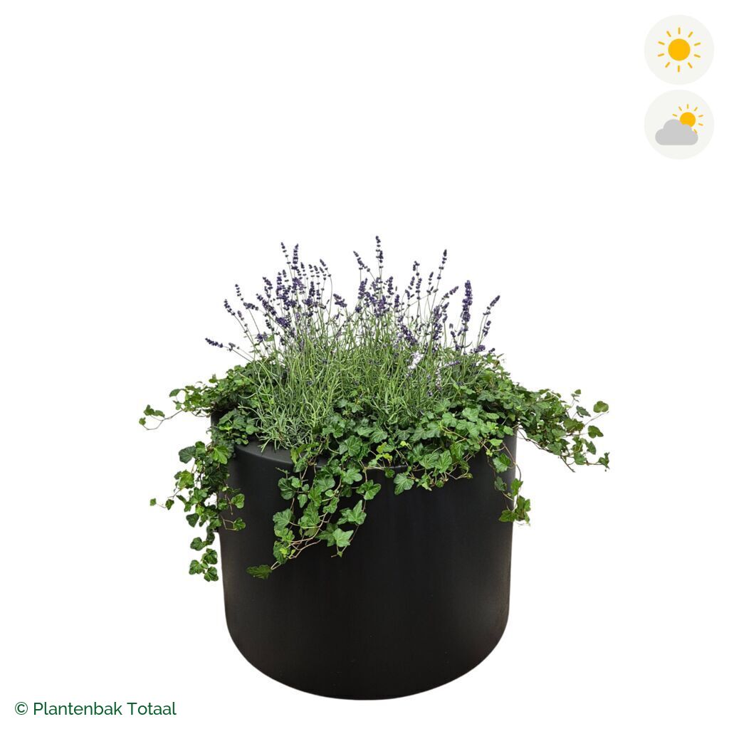 productfoto van plantenbak Polyester Circum Lavendel Combinatie