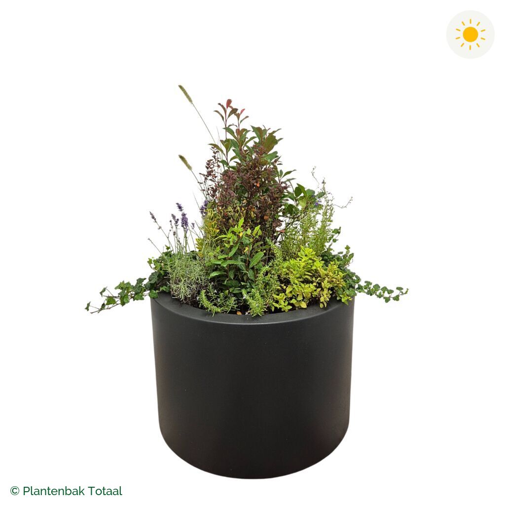 productfoto van plantenbak Polyester Circum Set Provence